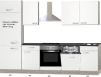 Rechte keuken Torger 270 cm semi-glanzend wit incl. Ingebouwde apparaten en vaatwasser RAI-946